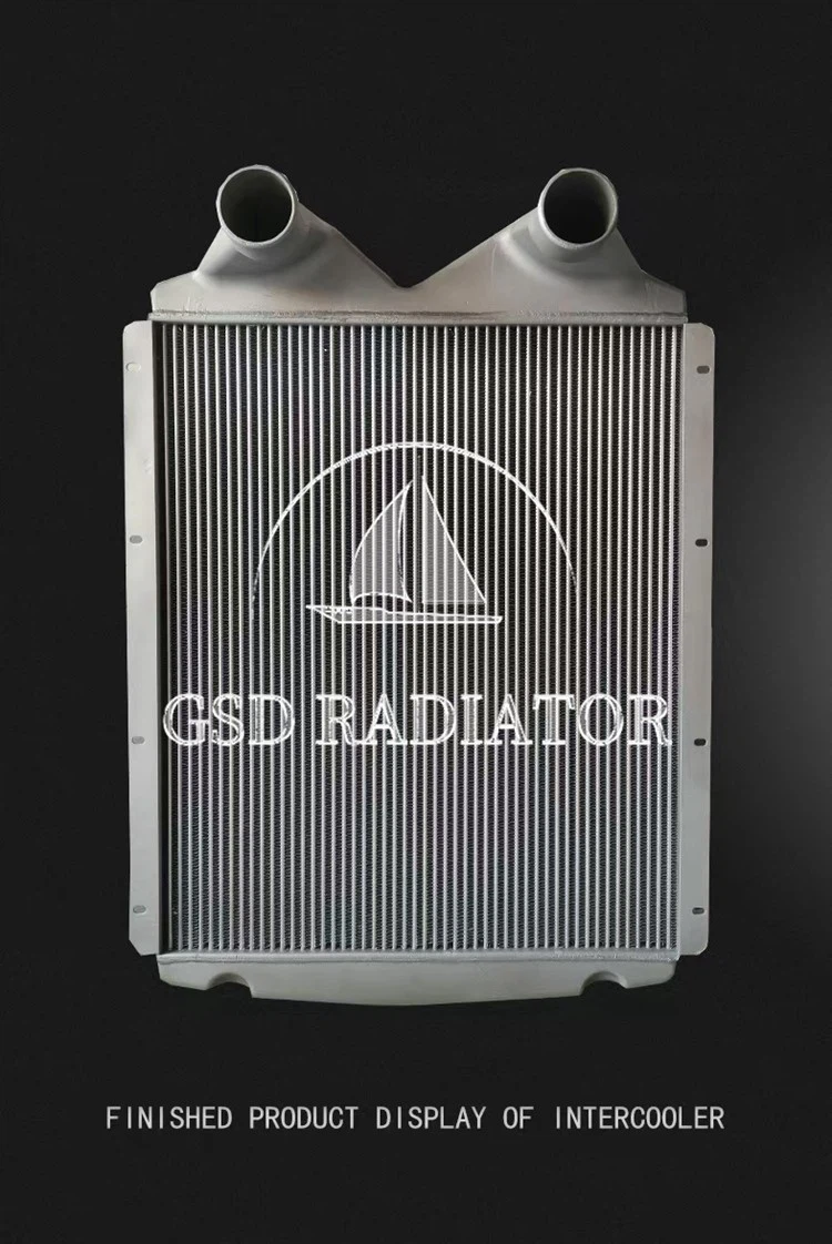 02-3 Guangshengda radiator 02-3 Guangshengda radiator